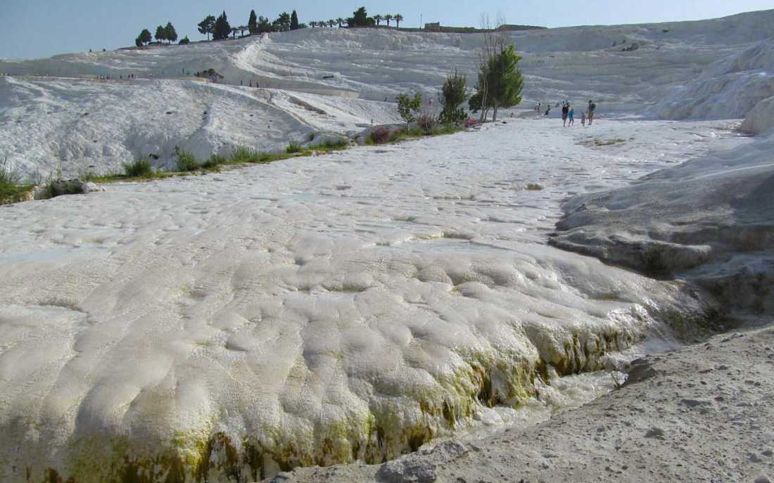 Image_1