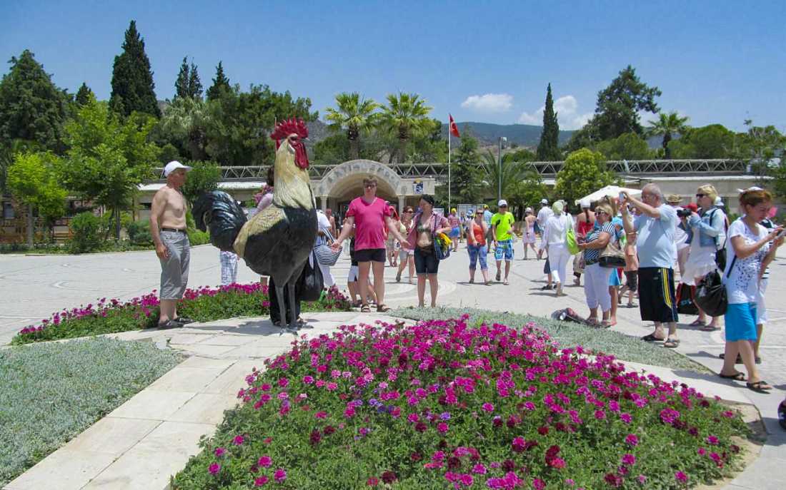 Image_3