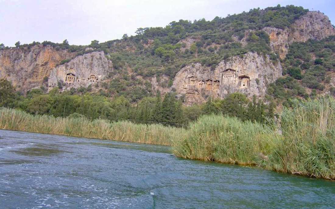 Image_12