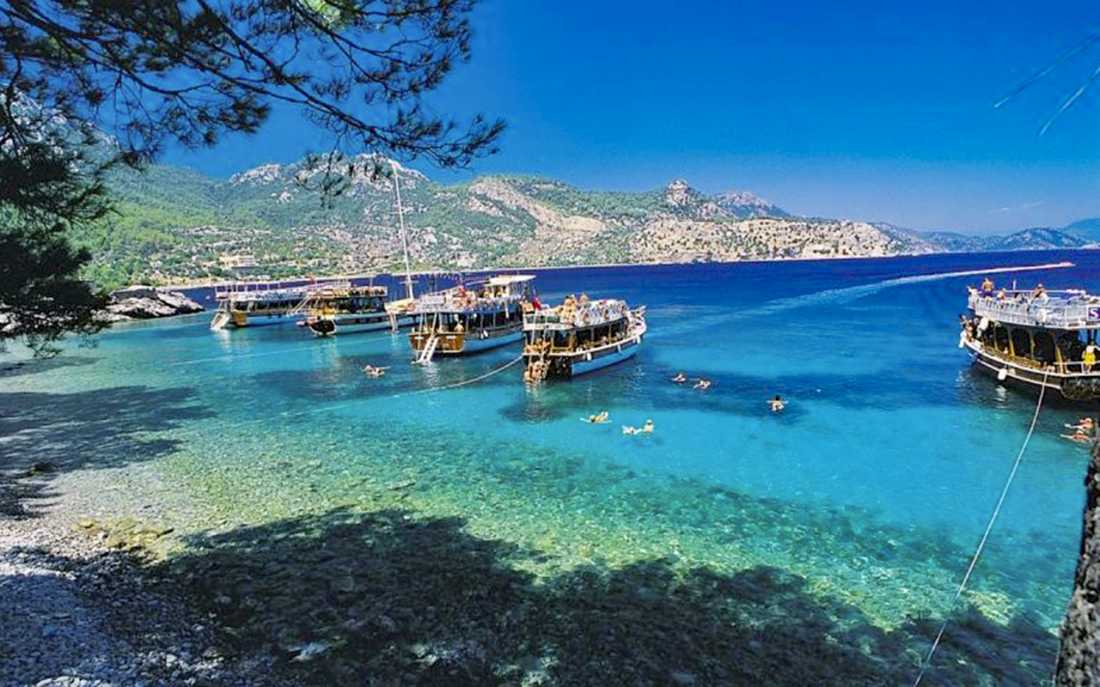 Image_5