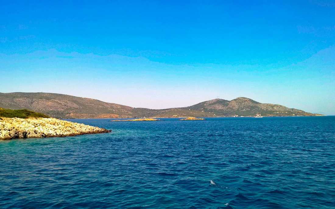 Image_4