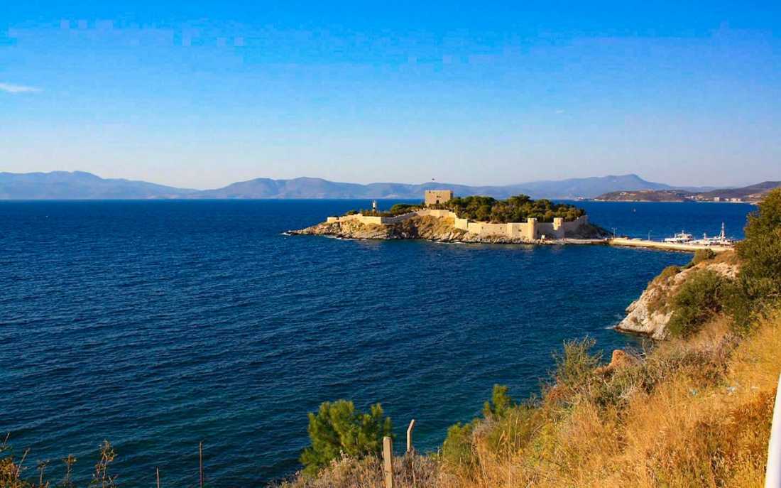 Image_1