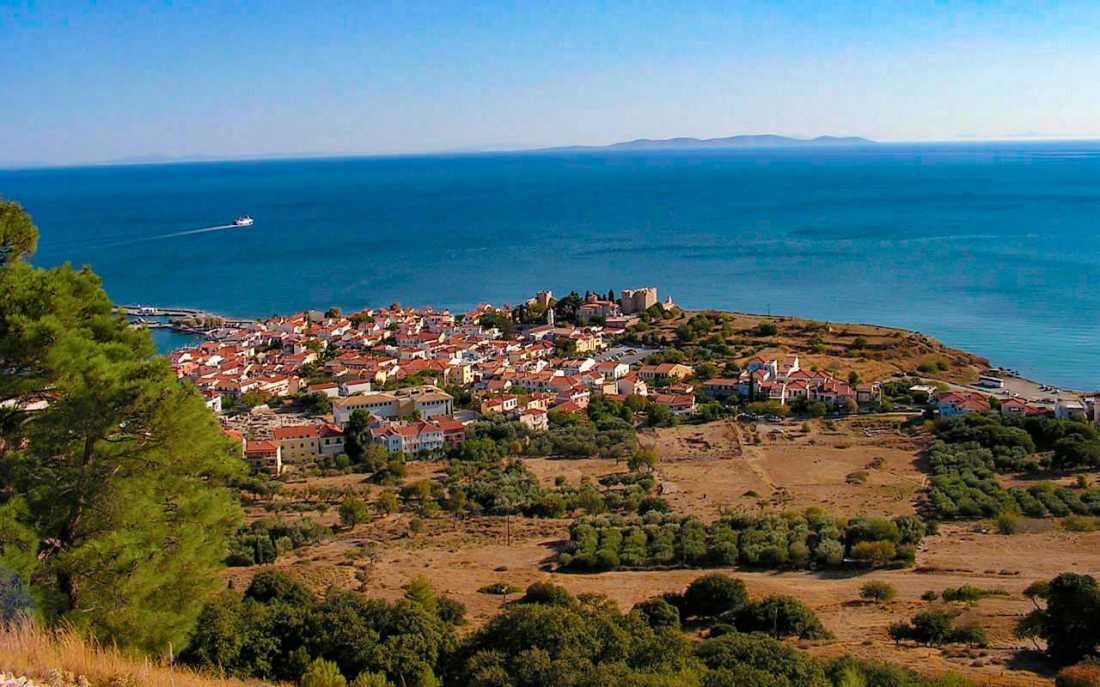 Image_1
