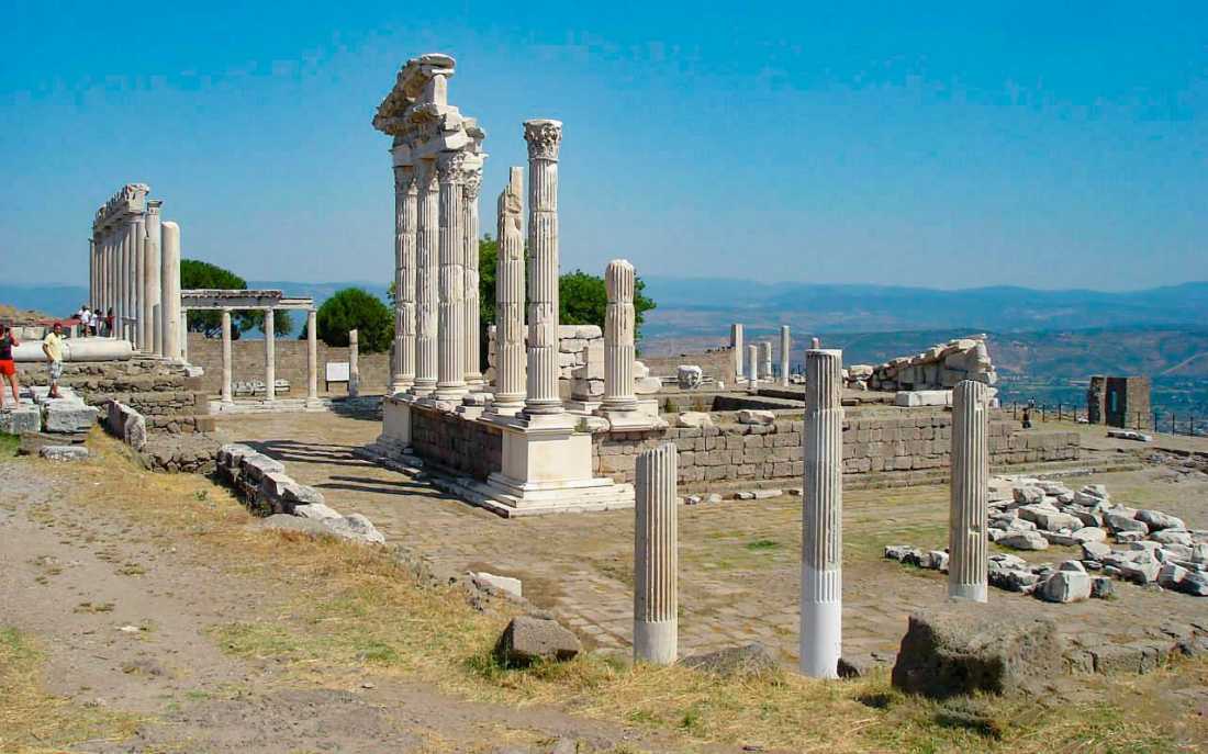 Image_1