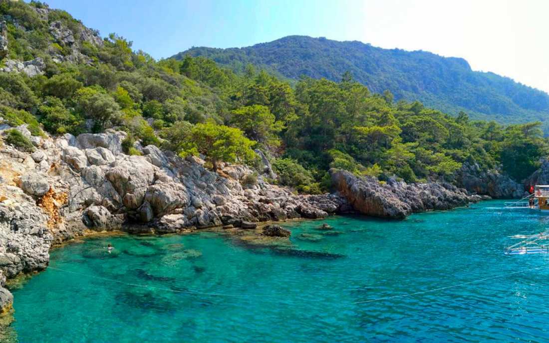 Image_1