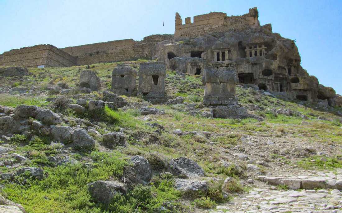 Image_7