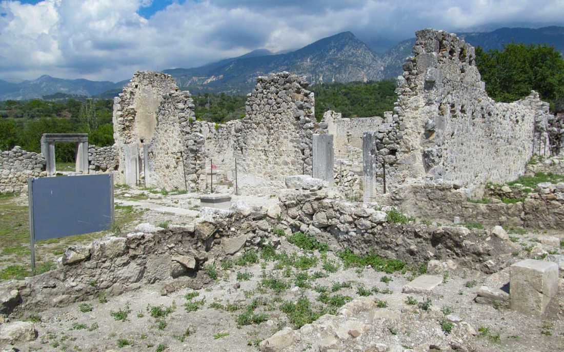 Image_1