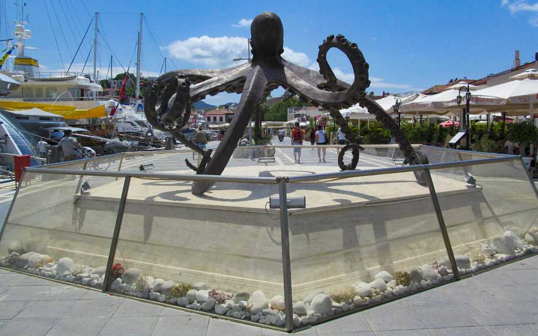 Image_6