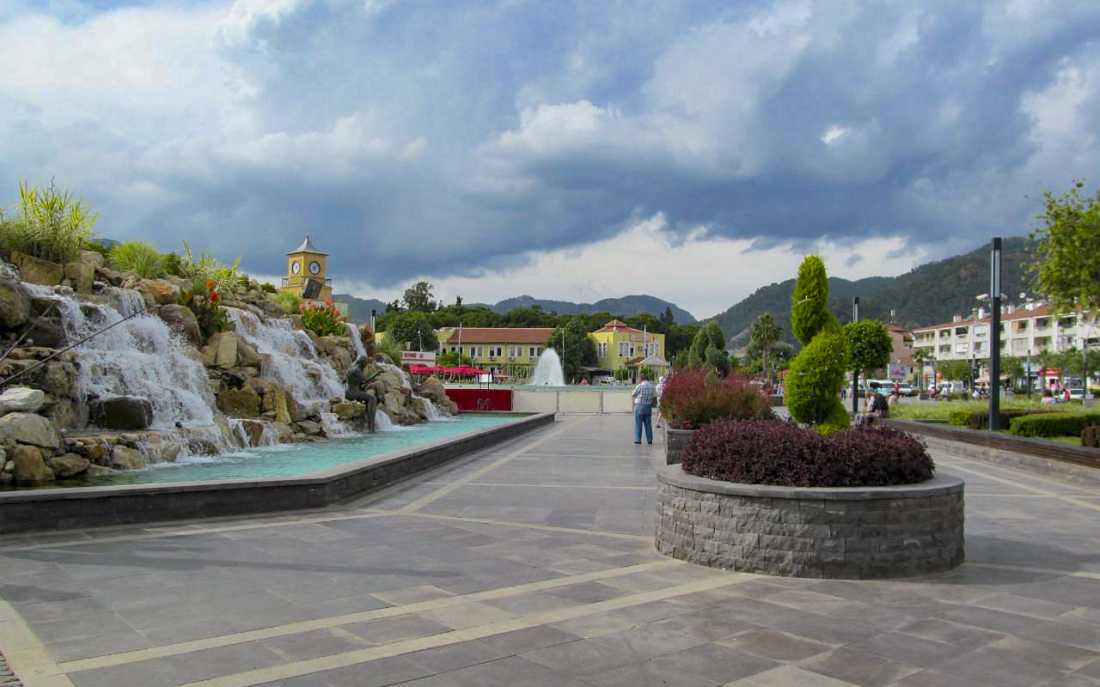Image_1