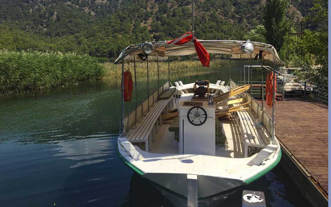 Image_9