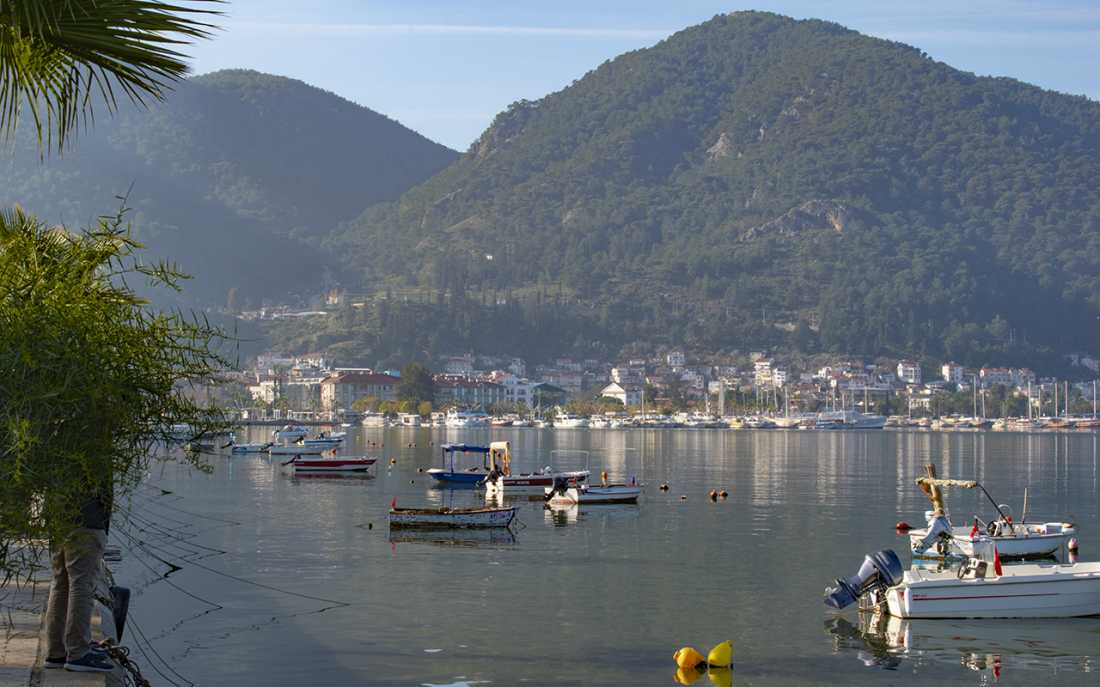 Image_4