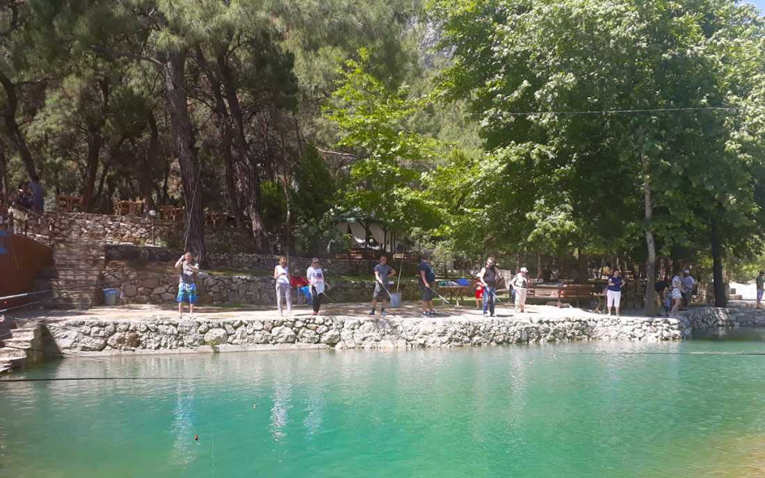 Image_7
