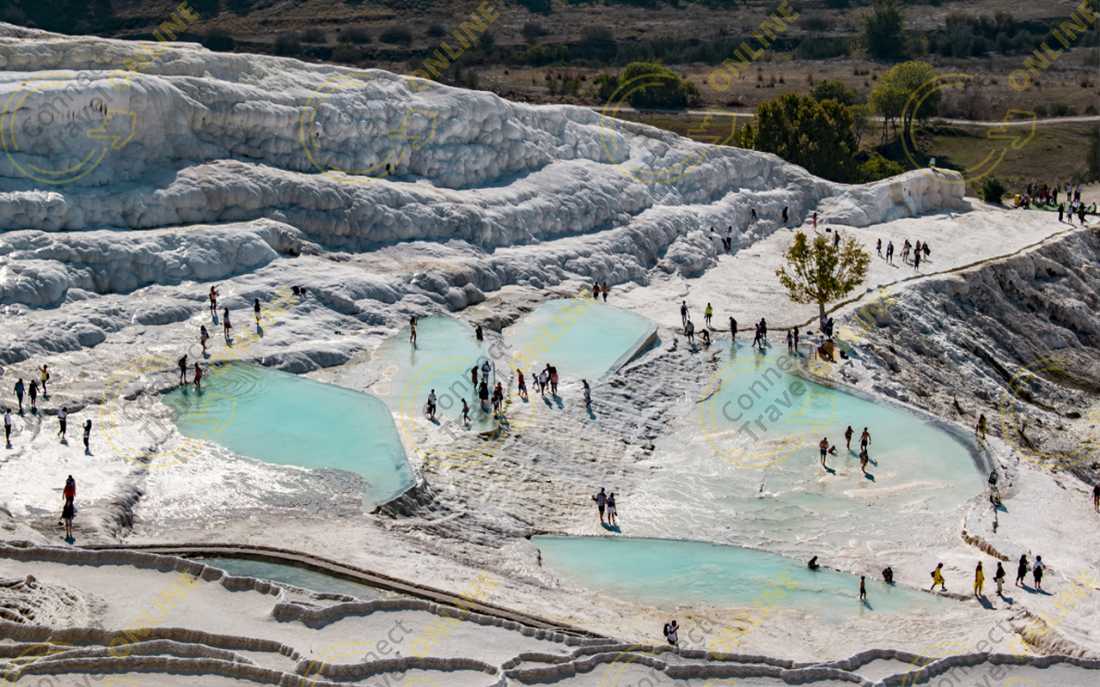 Image_1