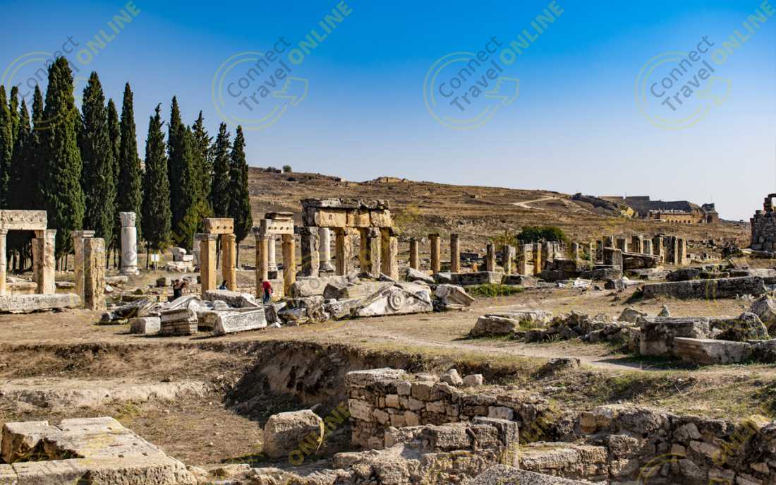 Image_7