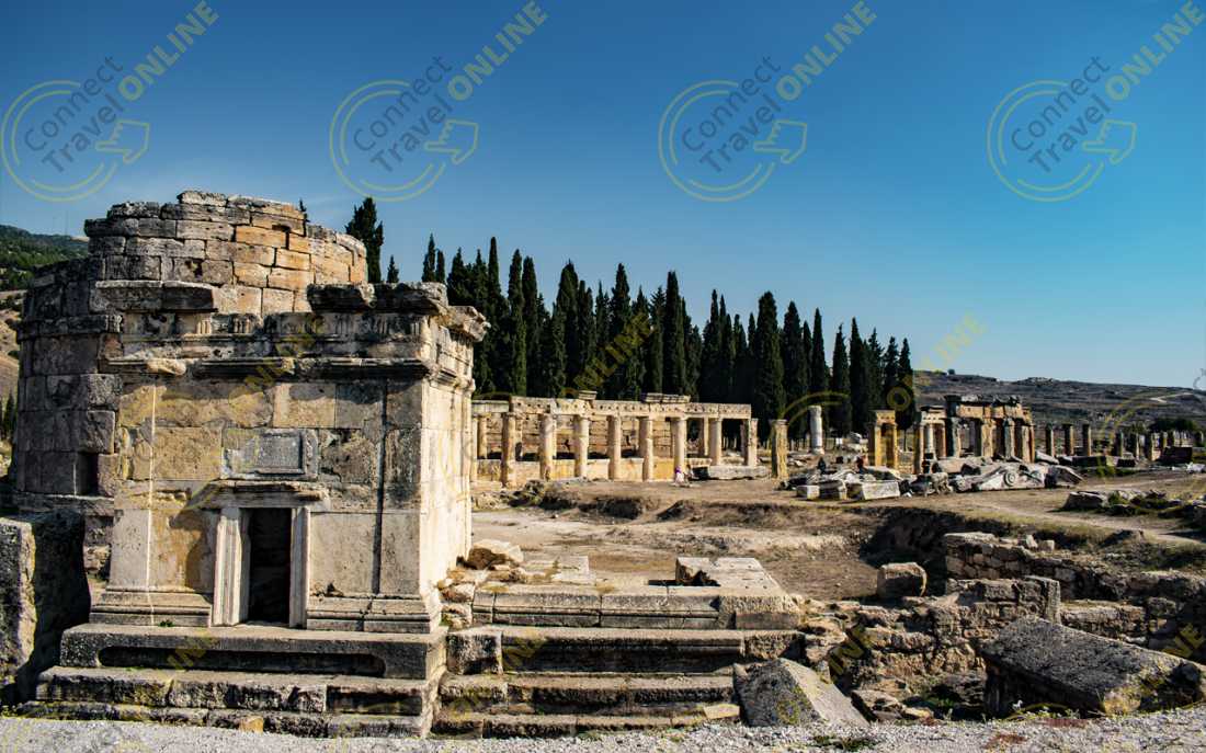 Image_6