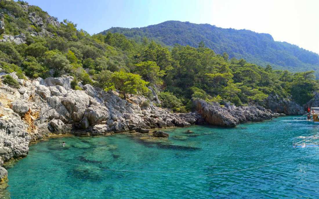 Image_1
