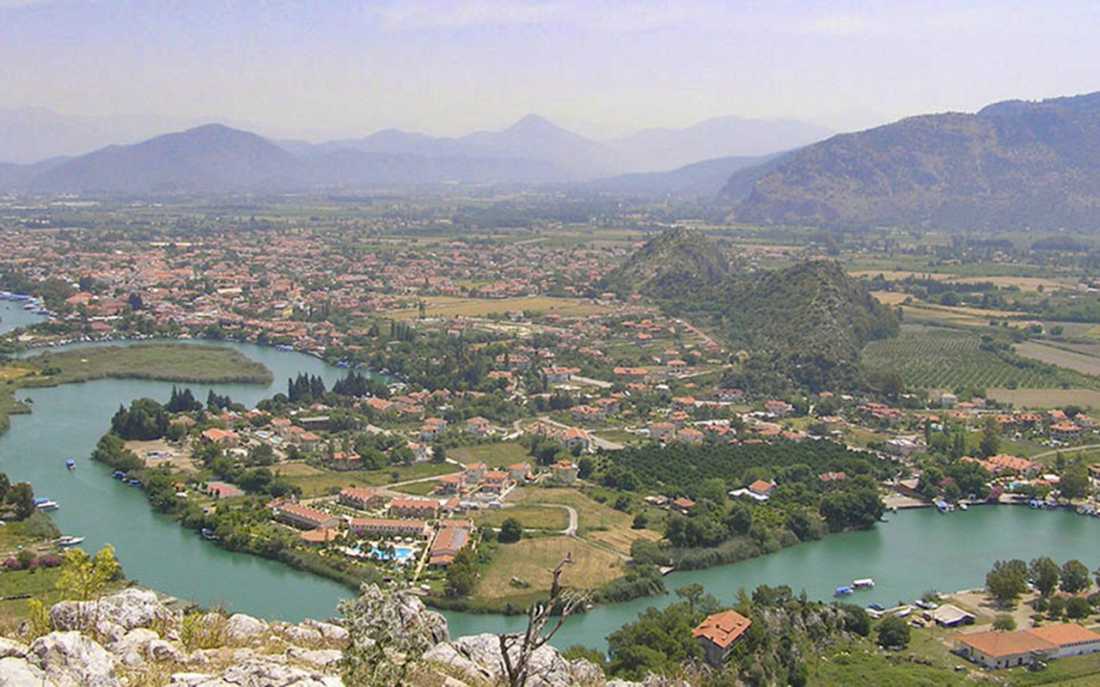 Image_1