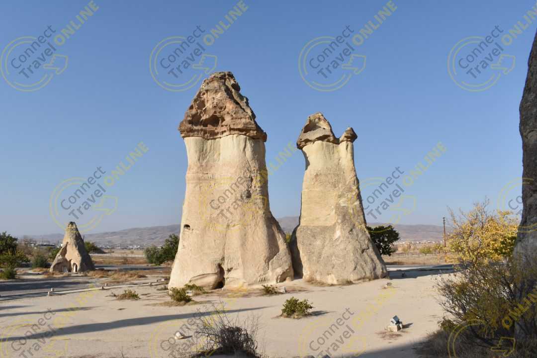 Image_7