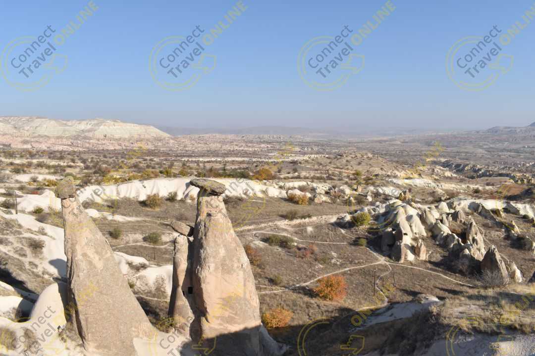 Image_15