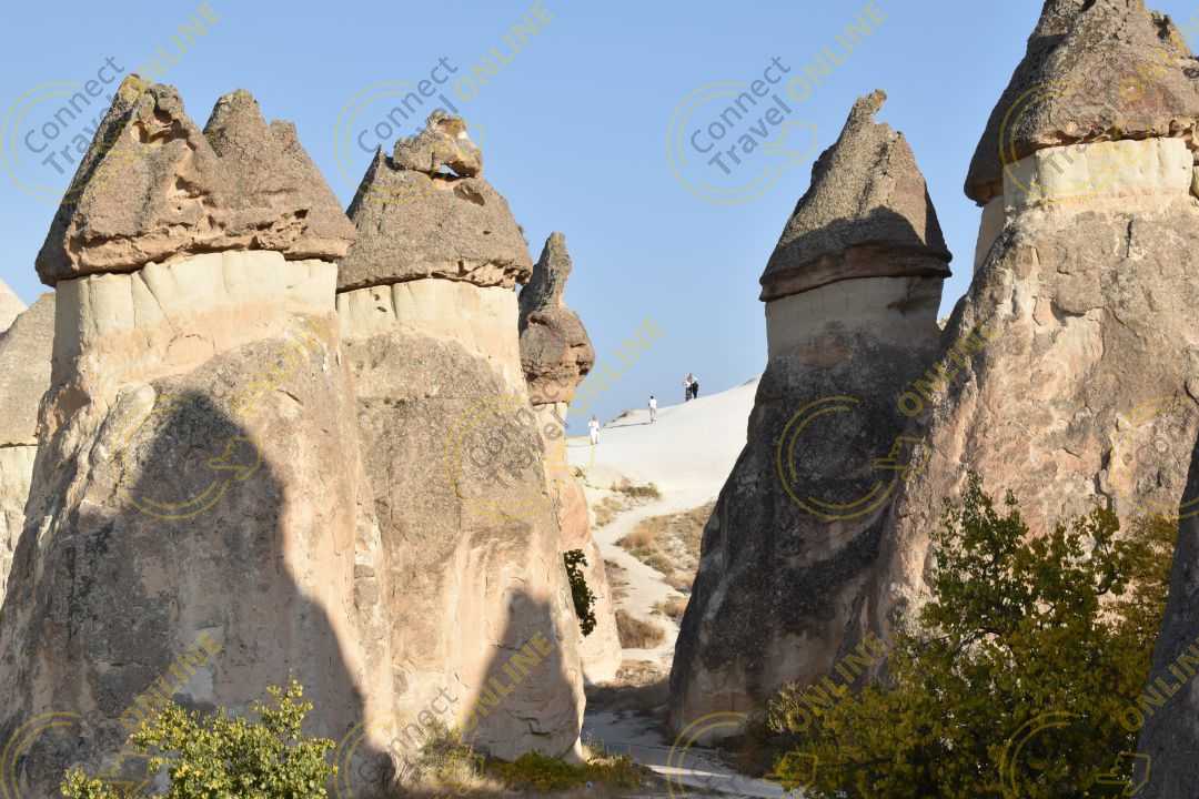 Image_8