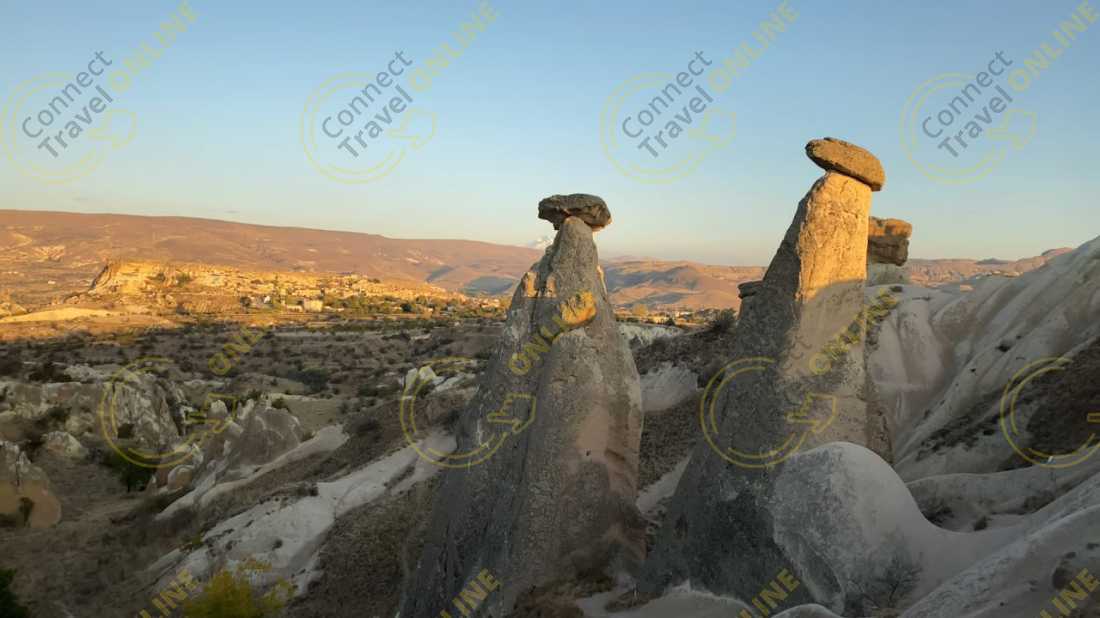 Image_18