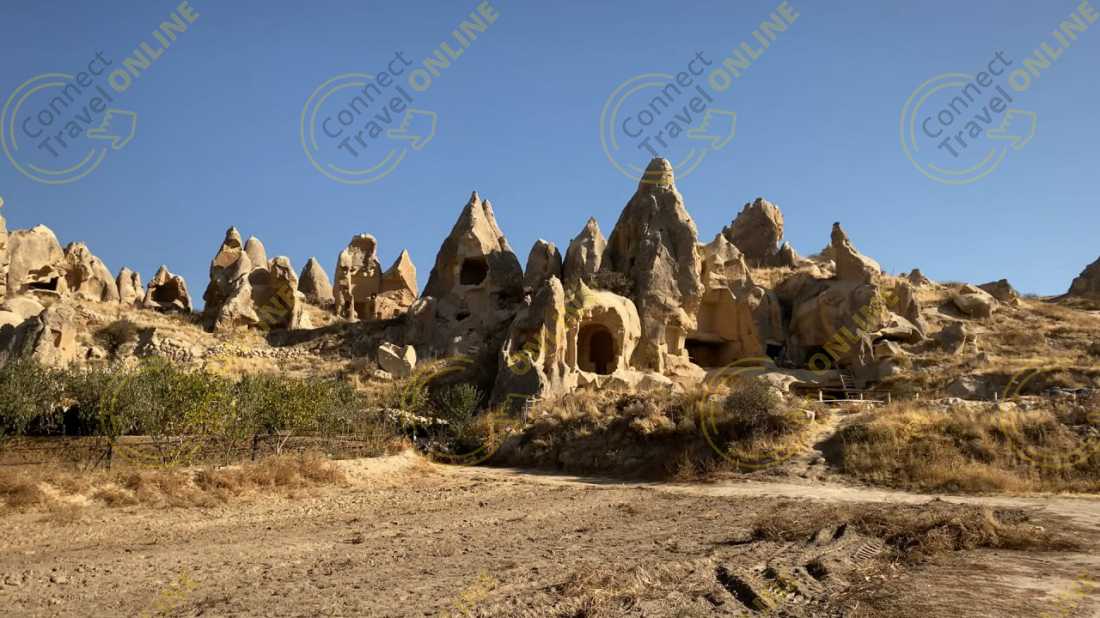 Image_1
