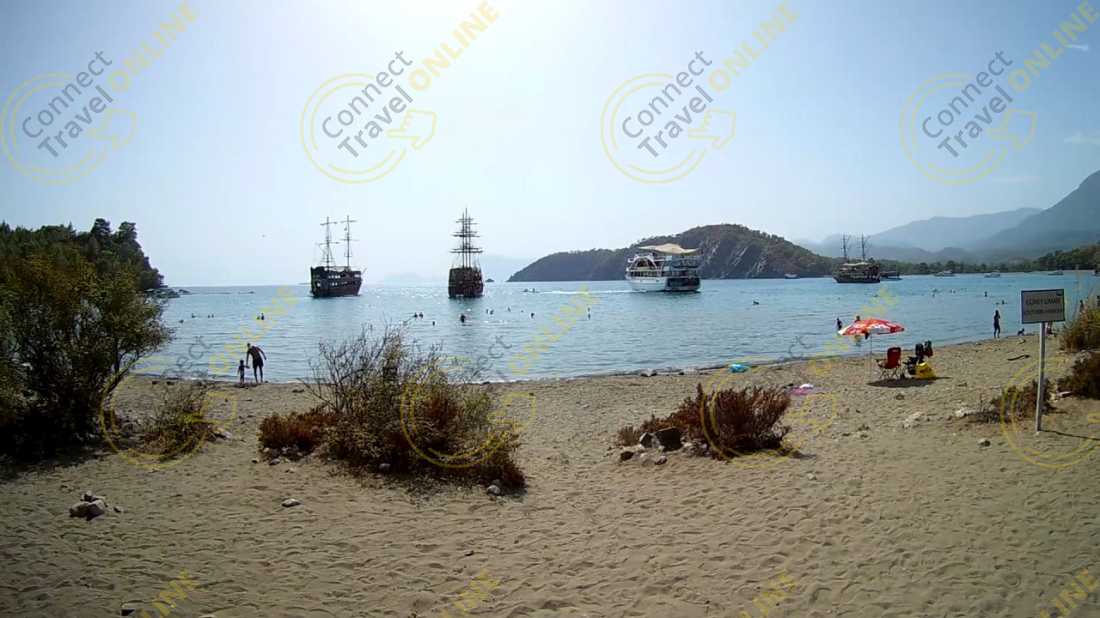 Image_7