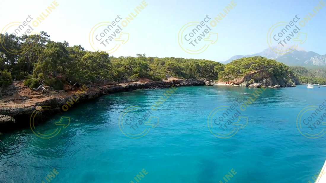 Image_6
