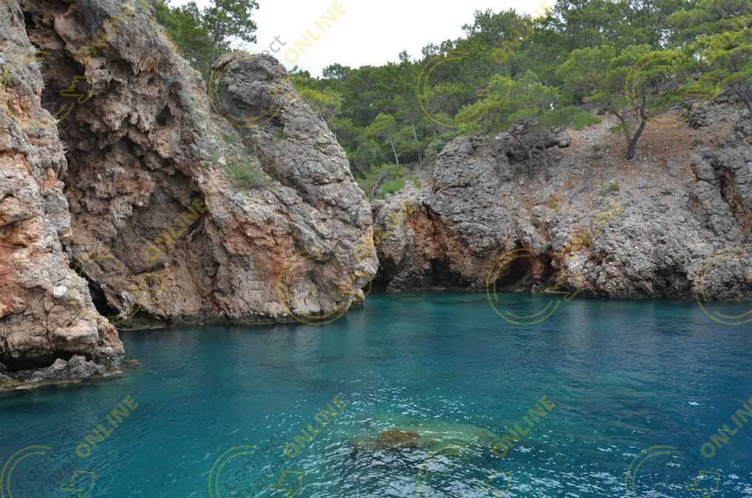 Image_3