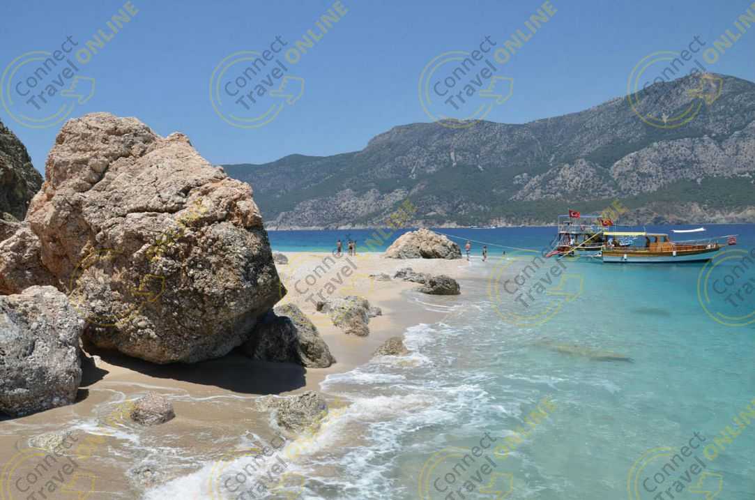 Image_2