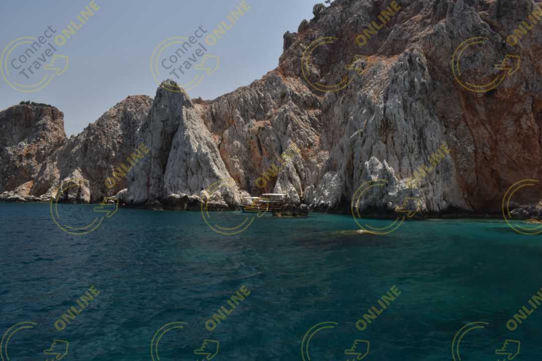 Image_6