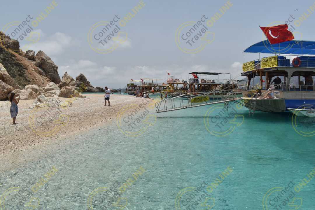 Image_11