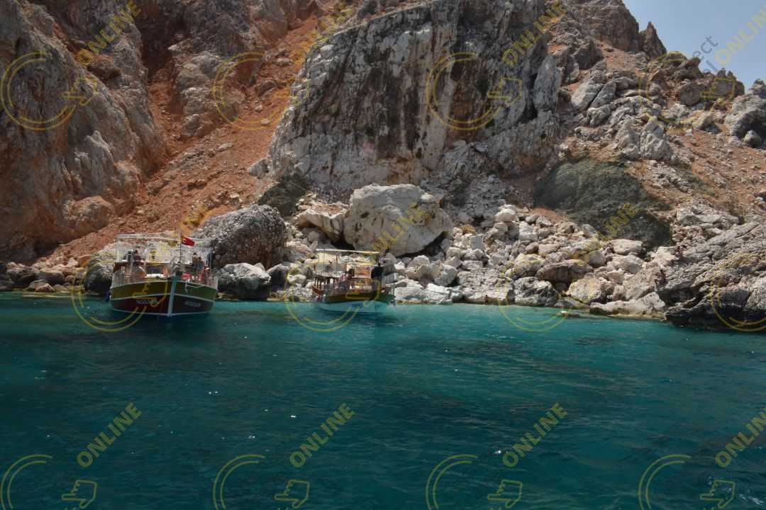 Image_8