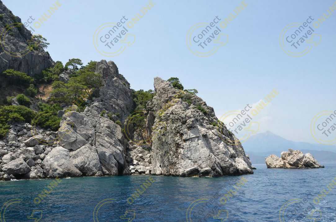 Image_11