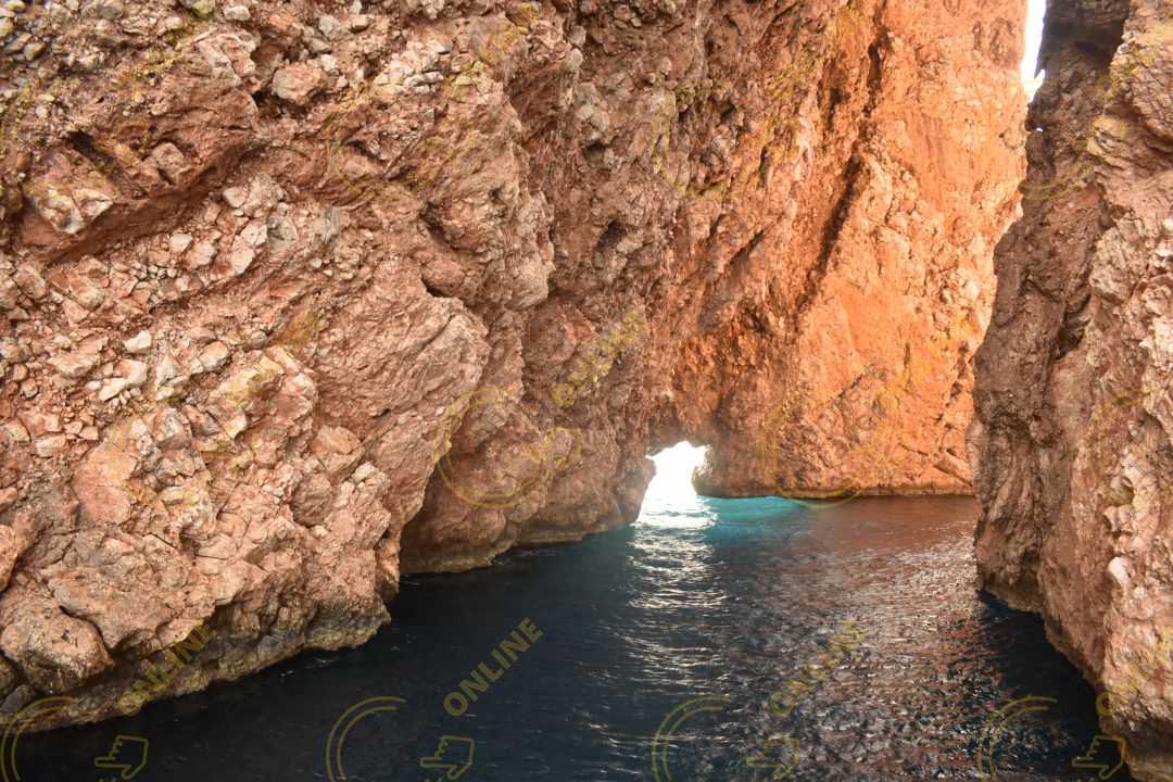 Image_9