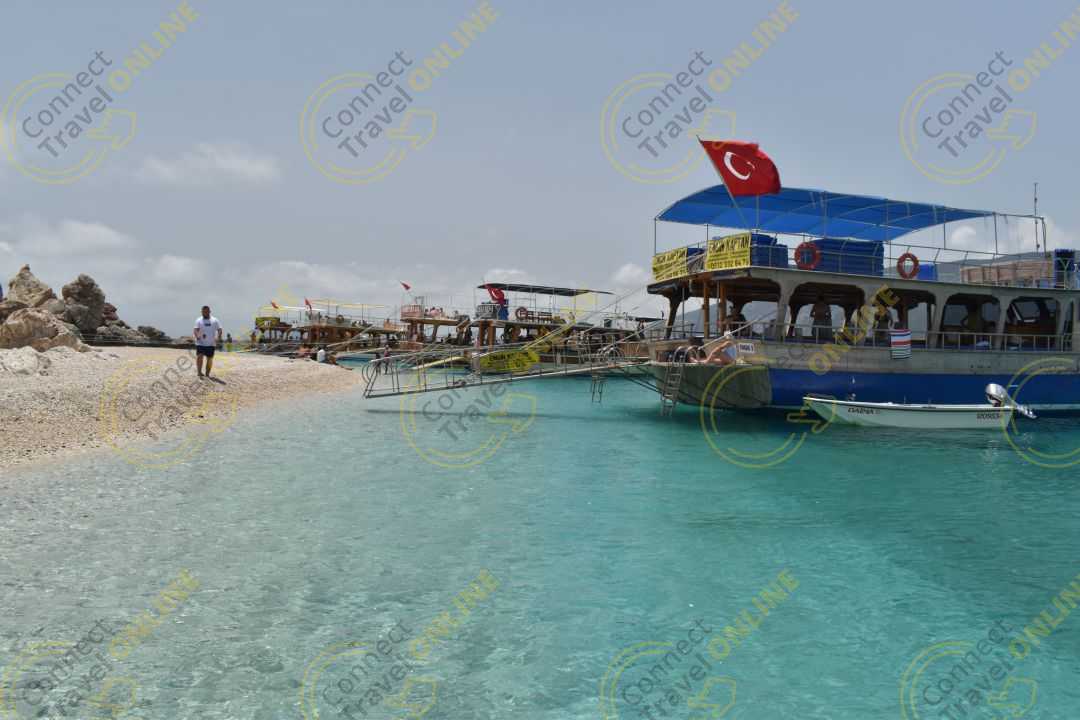 Image_1