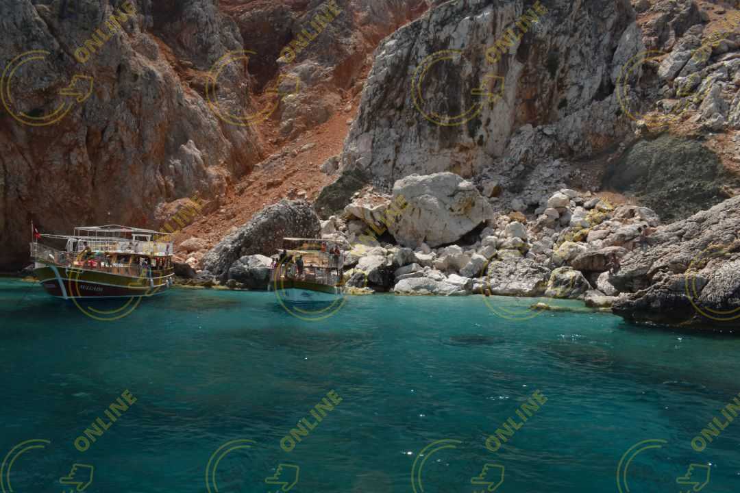 Image_6
