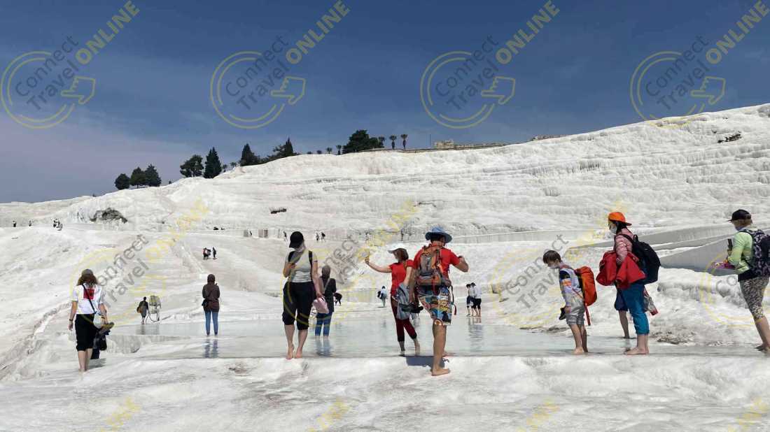 Image_1
