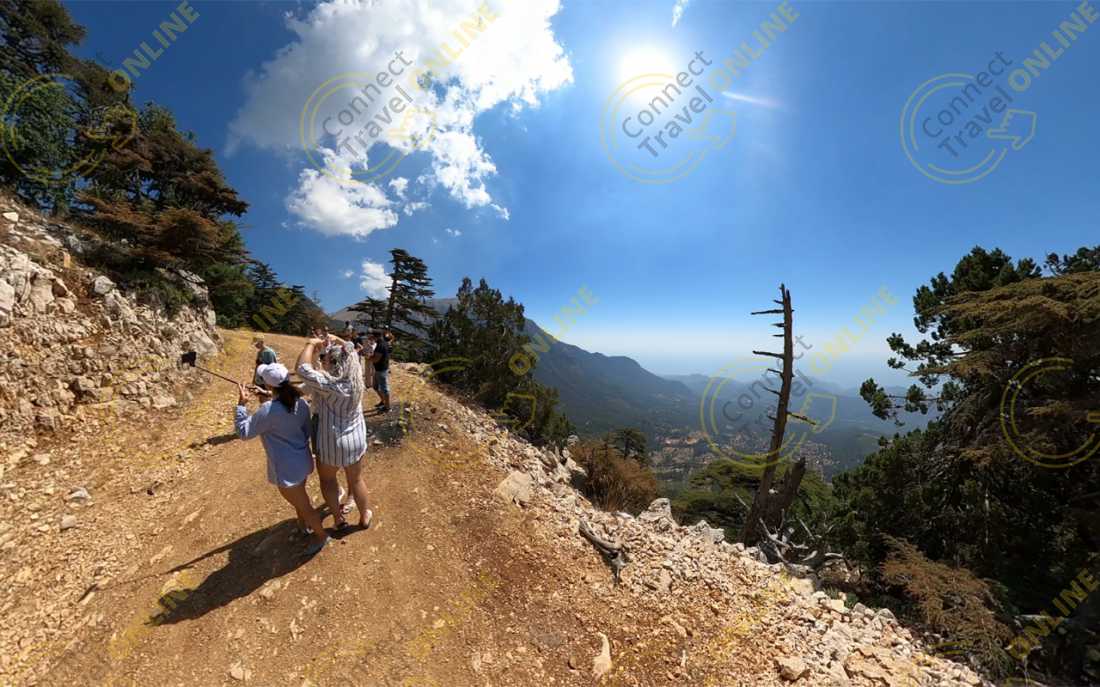Image_15