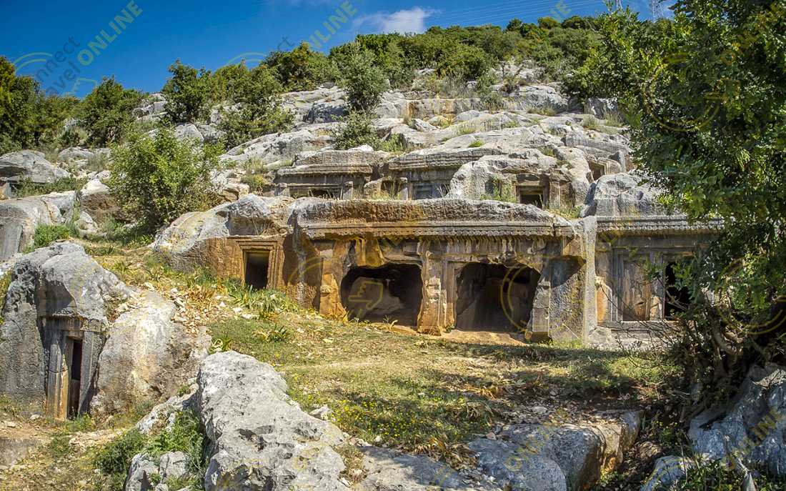 Image_1