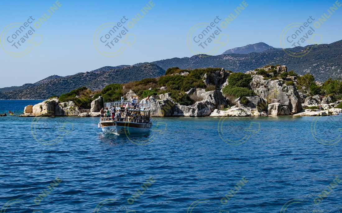 Image_11