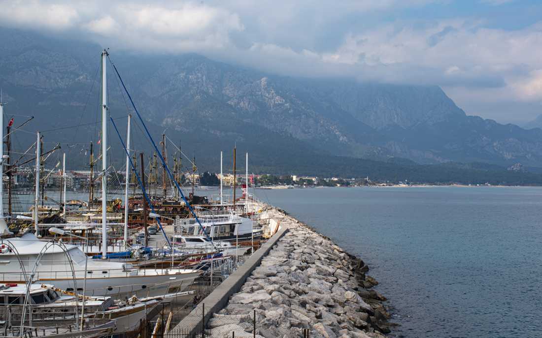 Image_6