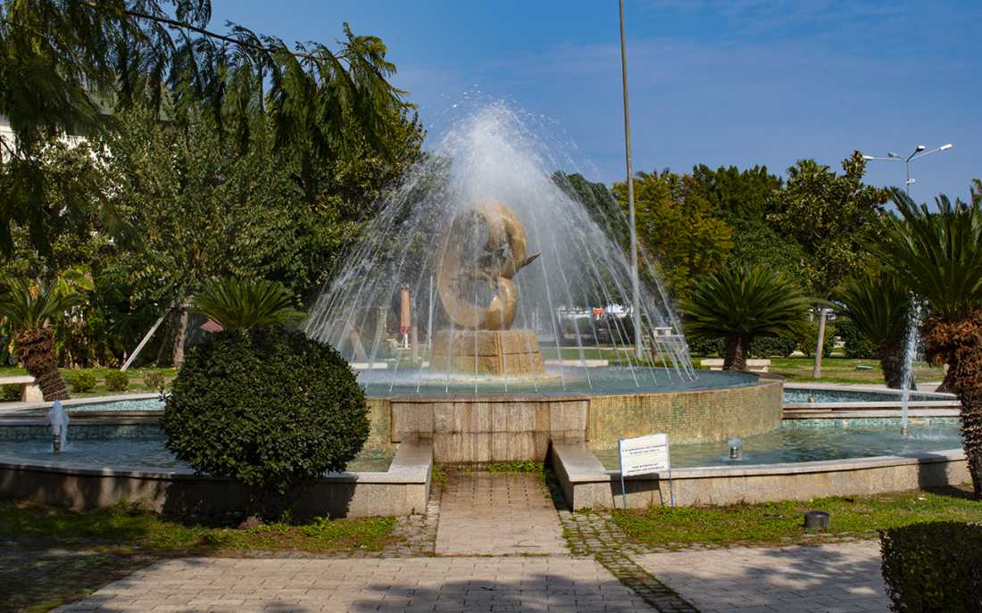 Image_5